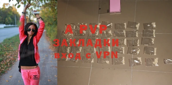 гашик Осинники