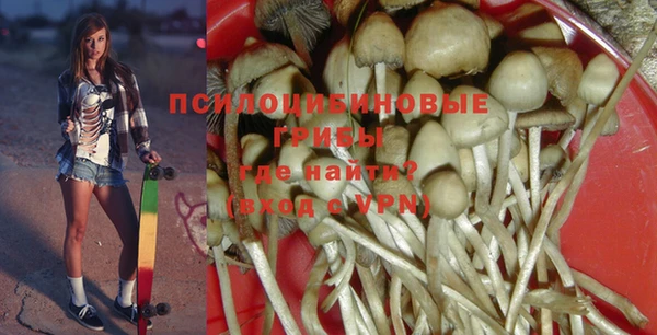 мдма Няндома