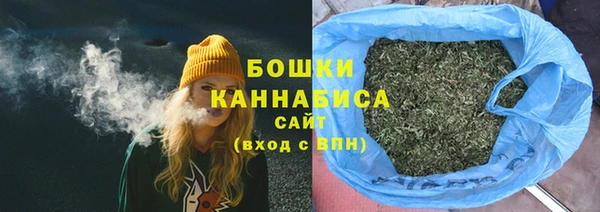 индика Остров