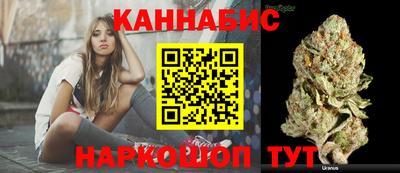 гидра Славгород
