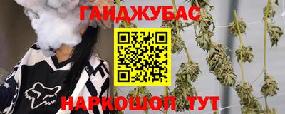гидра Славгород
