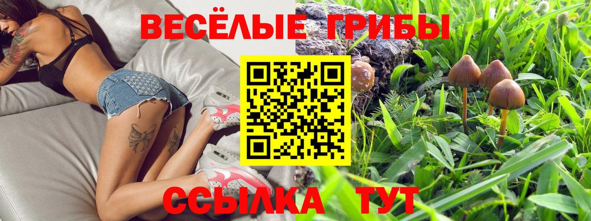 Псилоцибиновые грибы ЛСД Отрадное